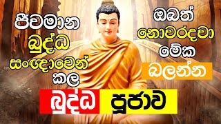 ජීවමාන බුද්ධ සංඥාවෙන් සිදුකල බුද්ධ පූජාව..ඔබත් දැකබලා අනුමෝදන් වන්න | Buddha Pujawa | Diwi Maga