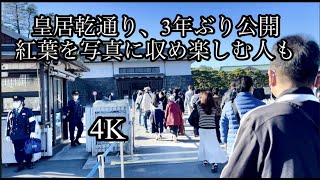 皇居・乾通り 26日から一般公開　マスク着用で3年ぶりに/皇居の乾通り一般公開、3年ぶり実施は11月26日～12月4日