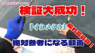 「イカメタル3」検証大成功！明るい内に対策すると