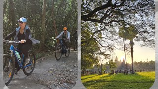 Bike ride around Angkor Wat.