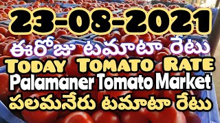 పలమనేరు టమోటా మార్కెట్ యార్డ్ 🍅🍅|ఈరోజు టమోటారేటు🍅🍅|Palamaner Tomato Rate|TodayTomatoRate|23-08-2021|