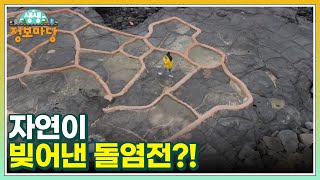 자연이 빚어낸 돌염전?! MBN 240116 방송