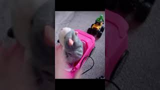 gangster hamster episode 1