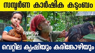 ഗ്രാമശ്രീ കോഴികൾ മുതൽ വെറ്റില കൃഷിവരെ ഒരു കുടുംബത്തിൽ | Farming Spot Episode 01