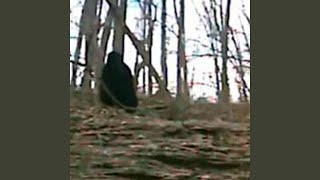 antichrist (feat. Wido)