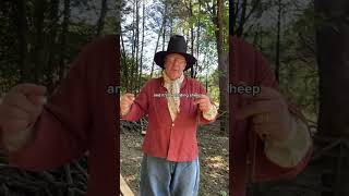 Alex #explains how a #hurdle #fence is used. #livinghistory #museum #sheep #fold #history #shorts