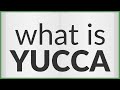 Yucca | meaning of Yucca