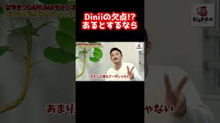 【飲食店経営】飲食店最強のPOSレジ、Diniiの欠点とは？【脱サラ】【群馬】【はやたつ】【林龍男】