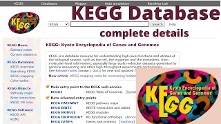 KEGG: Kyoto Encyclopedia of Genes and Genomes database