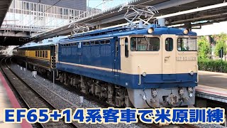 EF65-1128+サロンカーなにわ5Bで米原訓練を実施