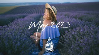Indie/Pop/Folk Compilation - May 2023 (2½-Hour Playlist)
