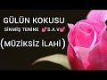 Gülün Kokusu / YENİ İLAHİ / Ahmet Lütfi Orakcı