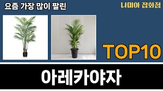 가장 많이 팔린 아레카야자 추천 Top10!