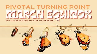 Pivotal turning point. March 2025 Equinox - How we can increase the light on the planet