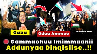 🔴 Oduu Ammee ‼️ Gaza tti Gammachuu Adda Hamas fi Israel