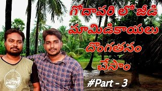 West godavari Vlog - 3 | We stole cashew mangoes | Tammileru Reservoir | Allipalli Church