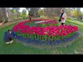 morges switzerland morges tulip festival a real jewel in the lake geneva region switzerland 4k