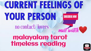 CURRENT FEELINGS OF YOUR PERSON.❤ നിങ്ങളെ ക്കുറിച്ചുള്ള അവരുടെ feelings❤❤. മലയാളം tarot. timeless