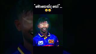 අනිත් අයත් එක්ක දාන සෙල්ලම් මතිශ එක්ක බෑ 🤣😂😅#youtubeshorts #srilanka #cricket