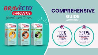 Bravecto 1-Month Chew: Your Ultimate Guide for a Healthy Pet