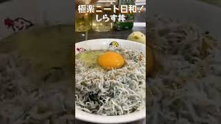 【24秒しらす丼】シラスノドン#shorts