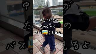 たくさんのバス🚌を見る2歳児ゆうくん