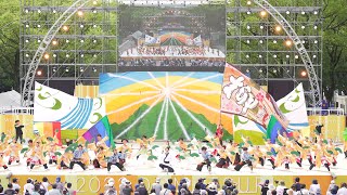 [4K] 岐阜聖徳学園大学 柳  にっぽんど真ん中祭り どまつり 2022 日曜日