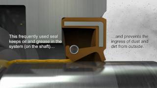 Shaft Seals \u0026 Rotary Seals — Trelleborg Sealing Solutions