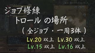 DDON攻略 | トロール ジョブ修練場所 （全ジョブ用、１周３体）LV.30以上,LV.20以上,LV.16以上,LV.15以上に対応 ドラゴンズドグマオンライン