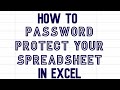 password protect your Excel spreadsheet video #password #excel