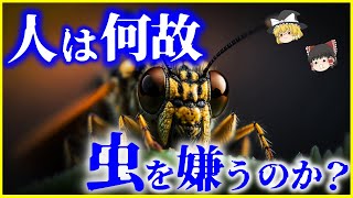 【ゆっくり解説】人はなぜ「虫」を嫌うのか？を解説/私達が昆虫を嫌いになる理由と克服する方法