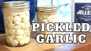 Pickled Garlic Canning Recipe