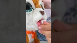 This Dog Really Poops! FurReal Poopalots! Toy Unboxing #kidsshorts #toysforkids #toyreview