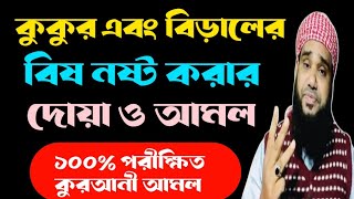 কুকুর এবং বিড়ালের বিষ নষ্ট করার দোয়া আমল | 100% পরীক্ষিত কুরআনী আমল | Hafij-Bin-Siddiq