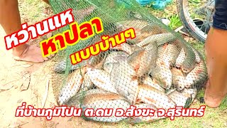 หว่านแหหาปลาแบบวิถึชนบท ที่บ้านภูมิโปน ต.ดม อ.สังขะ จ.สุรินทร์