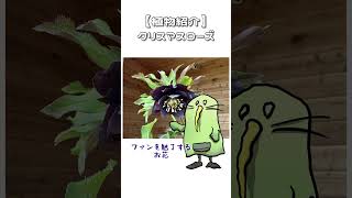 【植物紹介】クリスマスローズ　#shorts