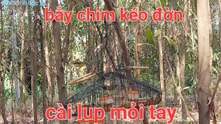 Bẫy Chim Kéo Đờn Cài Lụp Mỏi Tay Luôn | đam mê độc lạ