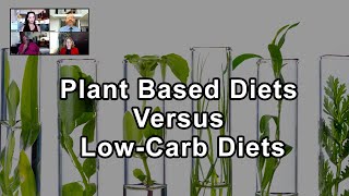 What Are All The Credible Studies Saying About Plant Based Diets Versus Low-Carb Diets?