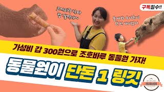 [잘나가는엄마] 가성비 갑 조호바루 동물원 단돈 300원으로 놀러가요. 말레이시아 해외 한달살기