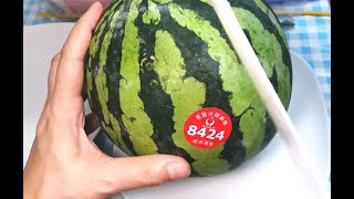 8424 西瓜 / 清甜多汁 / 夏天消暑佳品  Watermelon no. 8424【20無限】