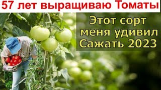 57 лет выращиваю томаты, но эти помидоры меня поразили.