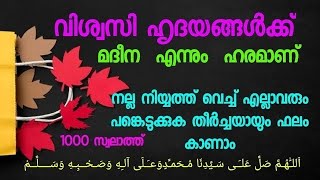 നമുക്ക് കൂടെ ചൊല്ലാം1000 സ്വലാത്ത് /1000 സ്വലാത്ത്  ലിങ്ക് പരമാവധി ആളുകളിലേക്ക് അയച്ചുകൊടുക്കുക‼️