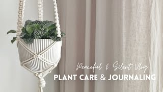 Living ALONE Vlog | Calm & Aesthetic PLANT CARE | Declutter with Me | Aesthetic & Silent Vlog