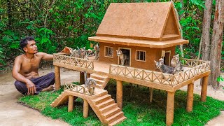 Rescue cats from cave Building Cat House in Hut