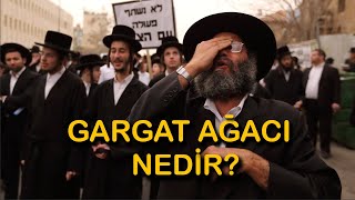 Gargat Ağacı Nedir? (YAHUDİLERİN AĞACI)