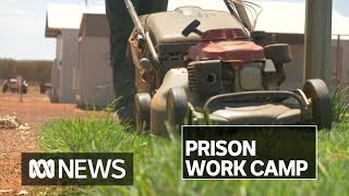 ‘You feel useful’: Prison work camp helping inmates prepare for life on the outside | ABC News