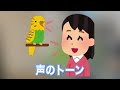 【永久保存版】セキセイインコが泣くほど幸せを感じる飼い主の行動９選