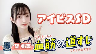 【アイビスSD】千直のスペシャリストはどの馬？スピードに優れた血統に注目！