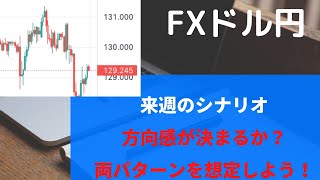 【FX　ドル円 来週のシナリオ】方向感が決まるか？両パターンを想定する！