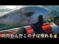 【超ド級】根掛かり並みのどデカい魚⁉️なんでも釣れてしまうルアーで巻き起こる劇的展開、家族みんなで魚を喰らう【コウタのオフch。】